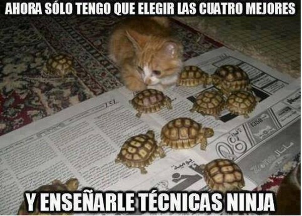 113) 13-01-14 gato-tortugas-ninja