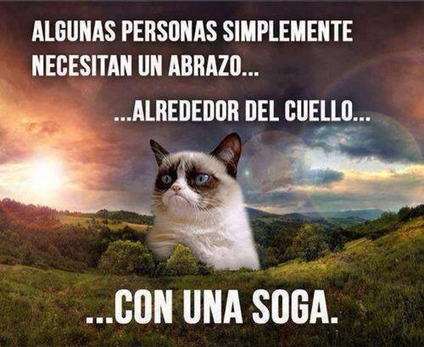 80) 29-12-13 con una soga
