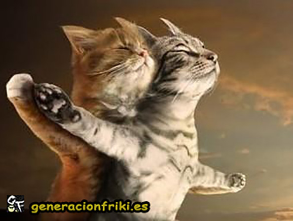 312) 10-04-14 Titanic-gatos-Humor
