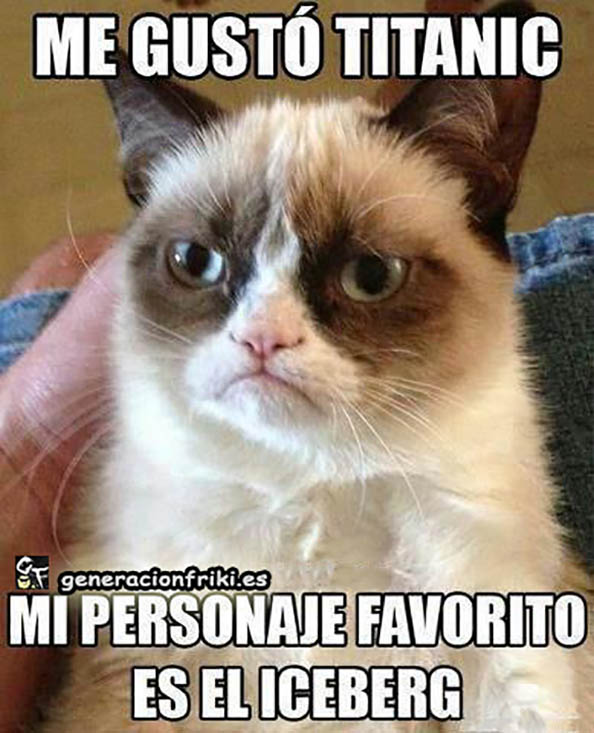 314) 10-04-14 titanic-grumpy-gato-Humor