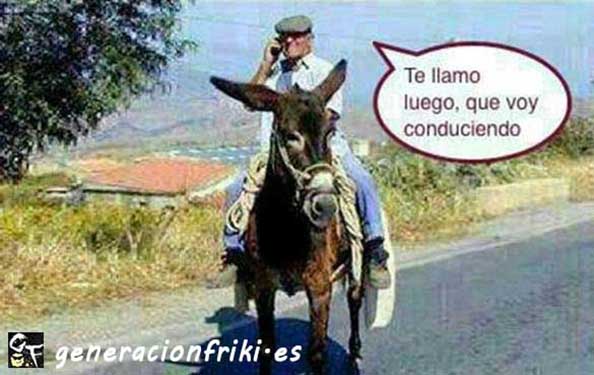326) 14-04-14 te-llamo-luego-conduciendo-Humor