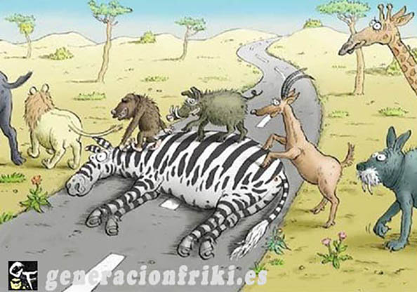 395) 07-05-14 paso-de-cebra-Humor