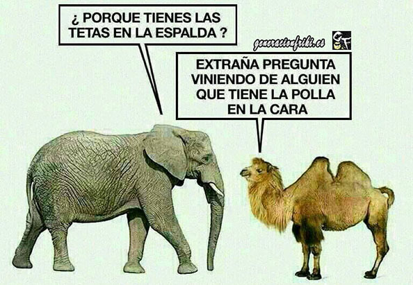 408) 13-05-14 tetas-polla-Humor