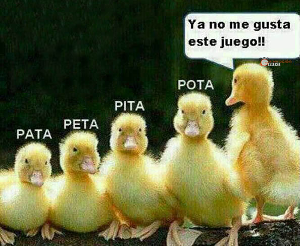 409) 13-05-14 pata-peta-pita-pota-Humor