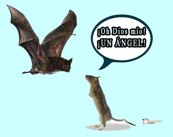 413) 14-05-14 rata-murcielago-Humor