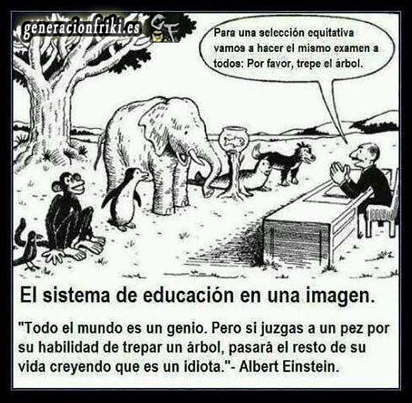 423) 21-05-14 sistema-educacion-trepa-arbol-Humor
