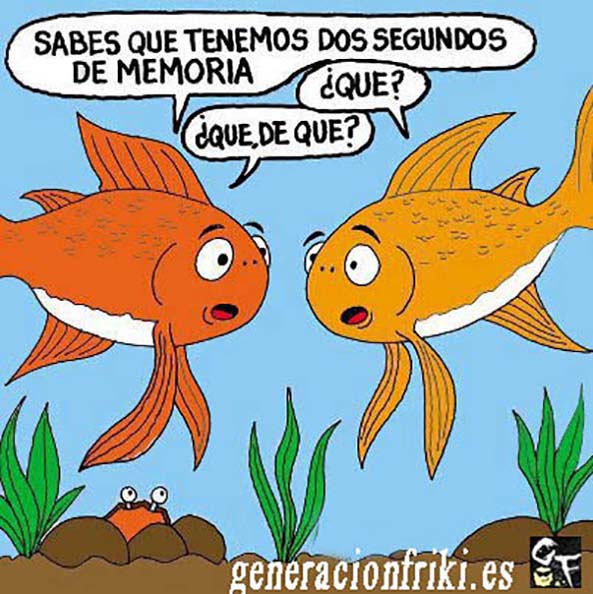 448) 28-05-14 peces-nemo-Humor