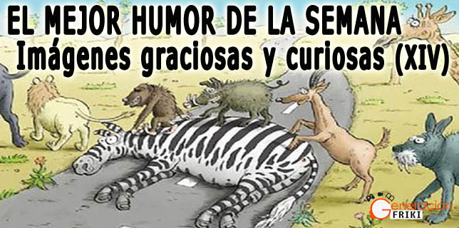 Imagenes-graciosas-y-curiosas-XIV-PORTADA