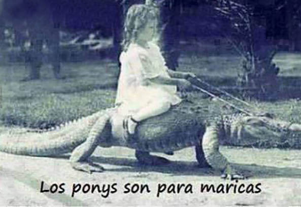 623) 20-09-14 ponys-para-maricas-Humor
