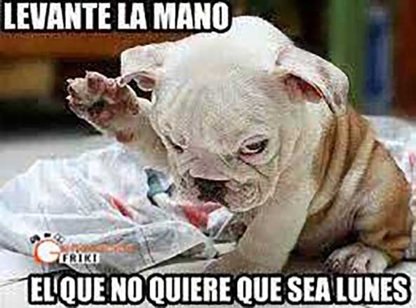 647) 06-10-14 lunes-levanta-mano-Humor