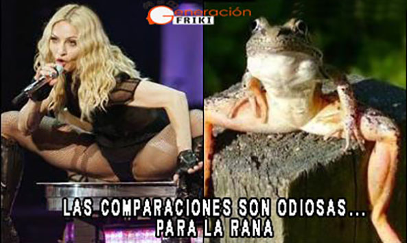 651) 08-10-14 madonna-totally-looks-like-a-frog-Humor
