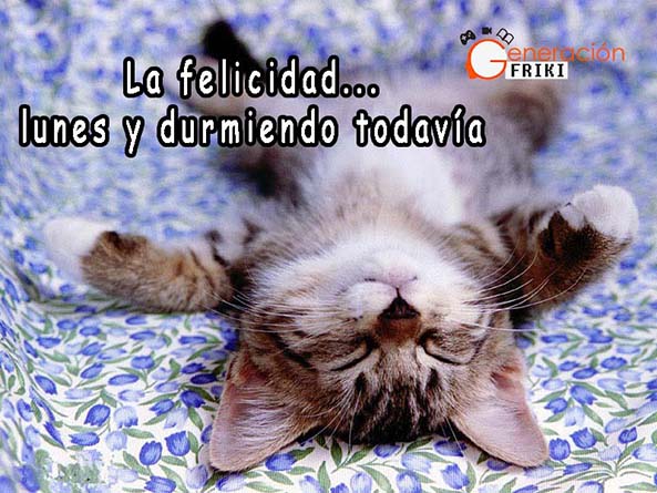 660) 13-10-14 Gato-durmiendo-feliz-lunes-Humor