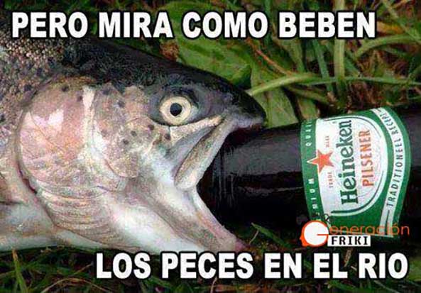 766) 01-12-14 mira-como-beben-los-peces-Humor