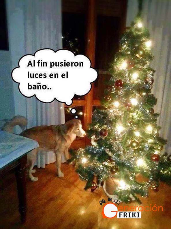 771) 04-12-14 luces-bano-perro-Humor