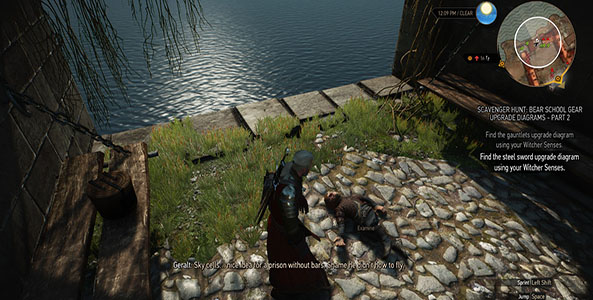 witcher GOT