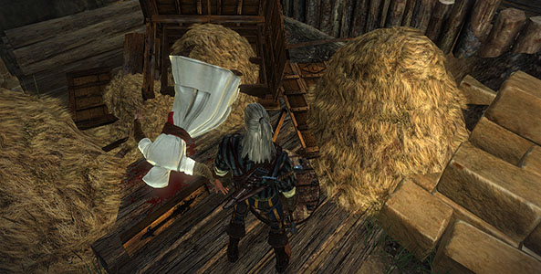 witcher2_assassin