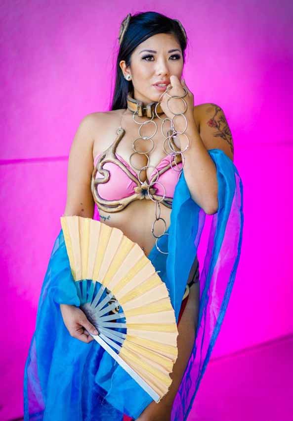 17-Mulan-Mashup-Leia-Star-Wars
