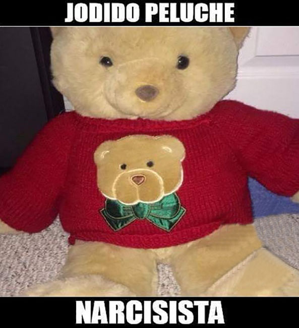 1198-20-01-16-oso-narcisista-humor