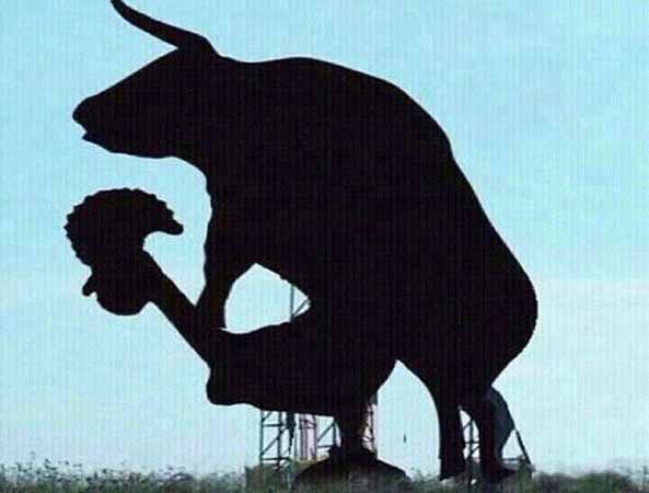 1208-03-02-16-toro-nueva-imagen-humor