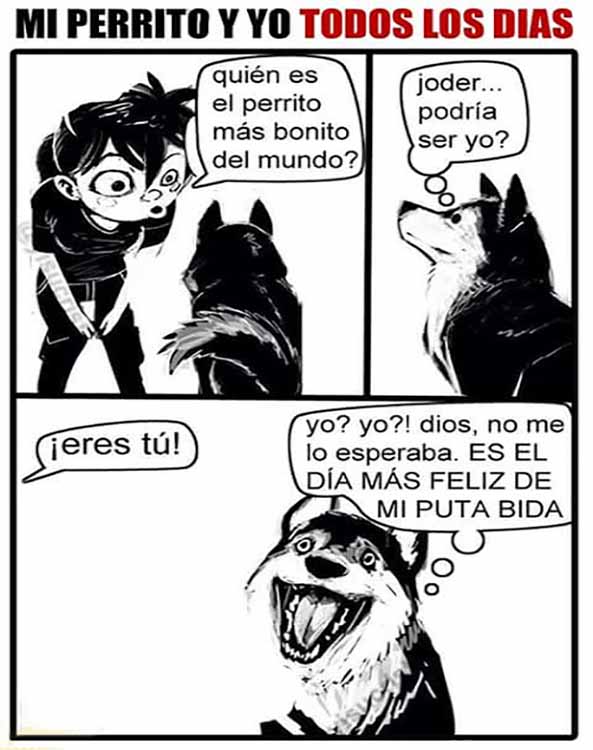 1210-04-02-16-perro-feliz-humor