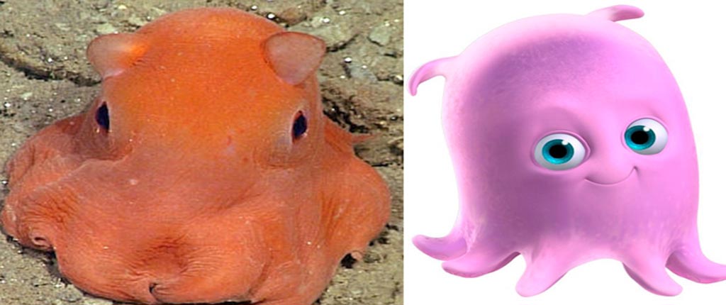 6-pulpos-peral-buscando-a-nemo