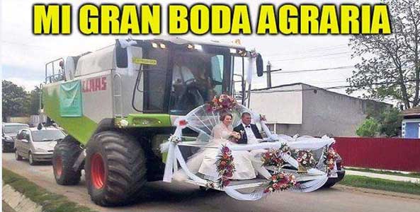 1293-30-05-16-gran-boda-agraria-humor