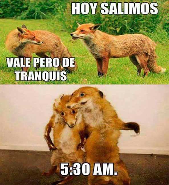 1295-31-05-16-salimos-de-tranquis-humor