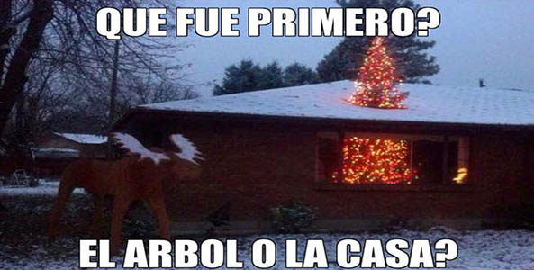 1144-10-12-15-arbol-de-navidad-casa-humor