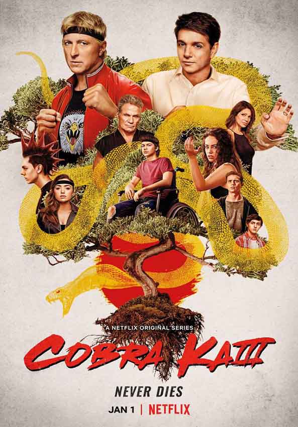 Cobra Kai (T4)