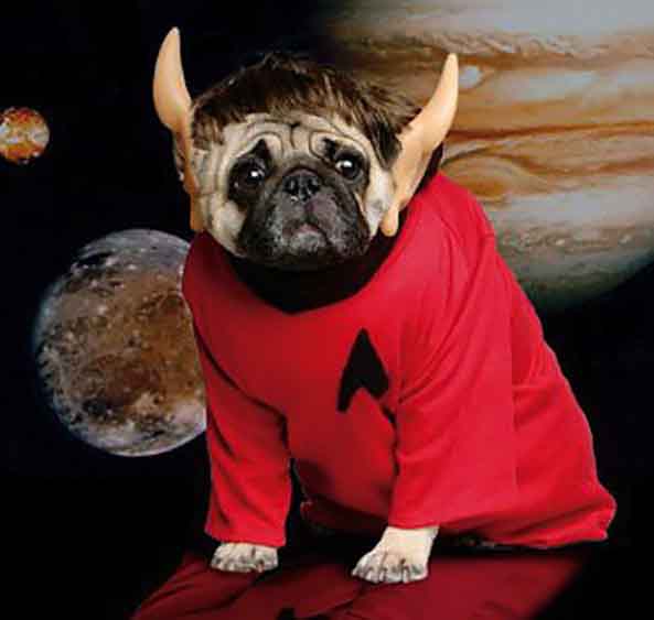 10-Perro-Spock-StarTrek-10