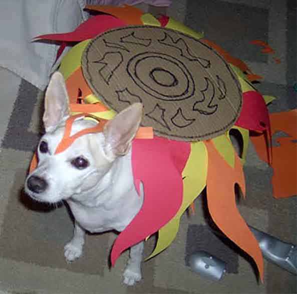 11-Perro-okami-11