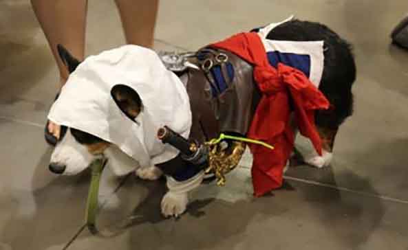 15-Perro-Assassins-Creed-15