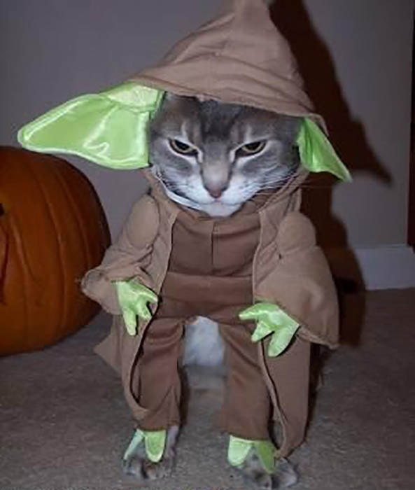 Yoda-Star-Wars-15