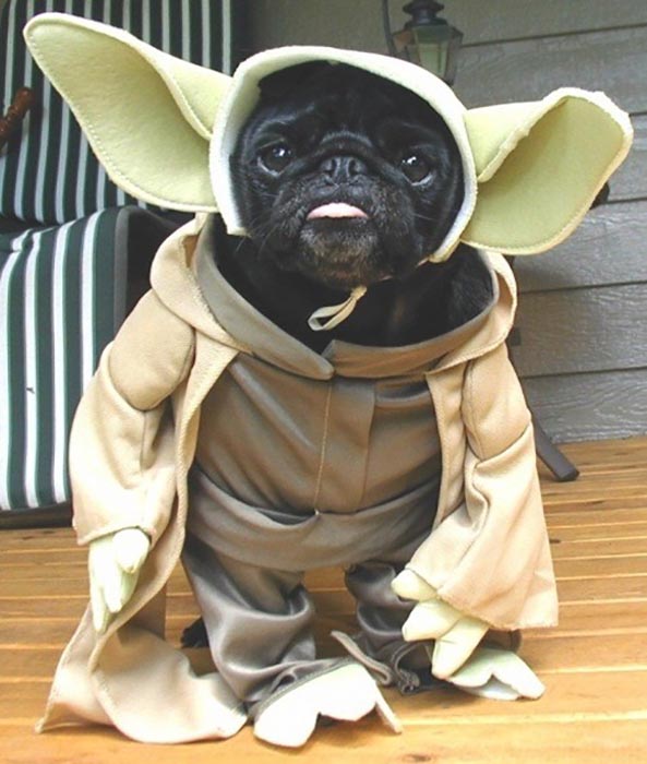 Yoda-Star-Wars-20