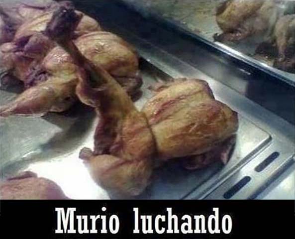 1000) 06-07-15 murio-luchando-Humor