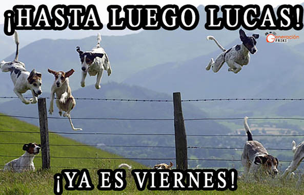 979) 29-05-15 saltando-viernes-Humor