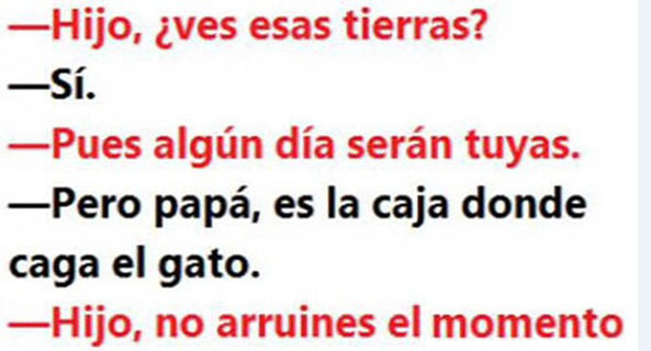 1260-12-04-16-tierras-caja-gato-humor