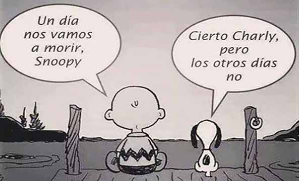 1396) 07-11-16 Snoopy-carpe-diem-Humor