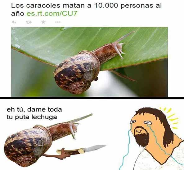 1397) 08-11-16 caracoles-matan-Humor