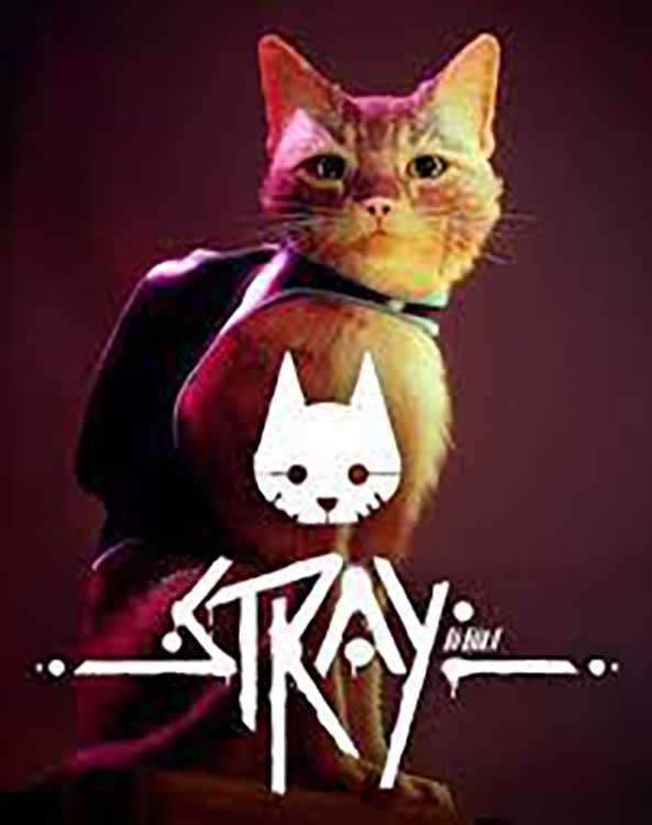 Stray
