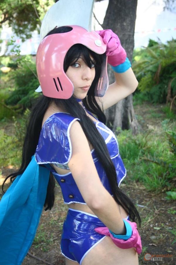 Chi-Chi-Dragon-Ball-15