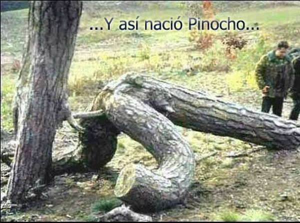 161) 09-02-14 Asi-nacio-pinocho-Humor