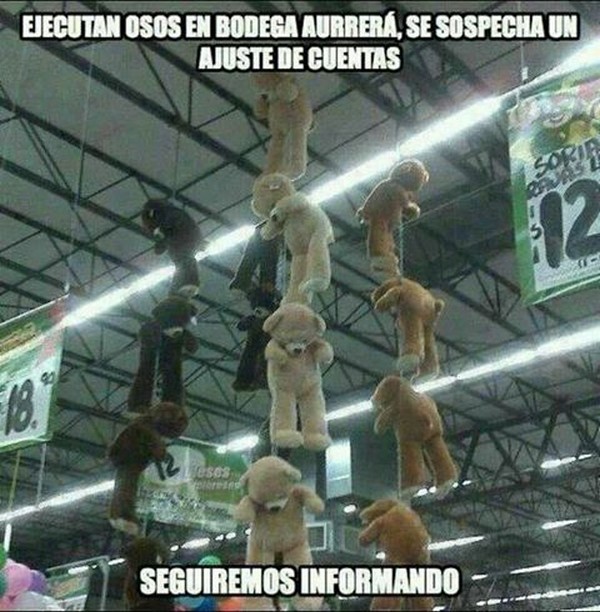 54) 06-12-13 ejecutan osos