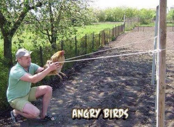 55) 08-12-13 Angry birds