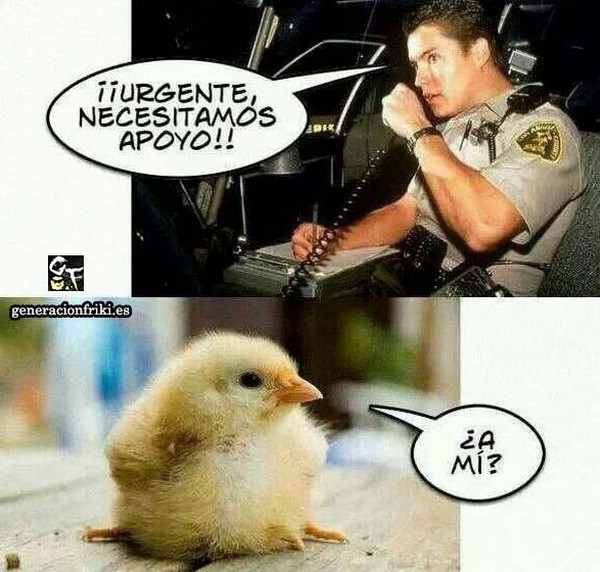 227) 15-03-14 necesitamos-a-pollo-Humor
