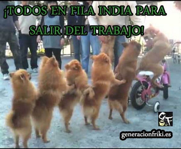 263) 28-03-14 fila-india-salir-trabajo-Humor
