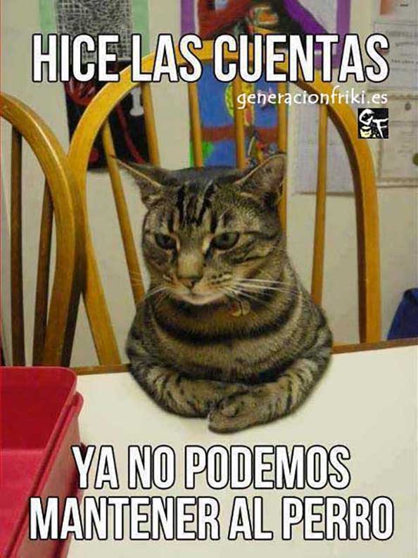 335) 16-04-14 ya-no-podemos-mantener-perro-Humor