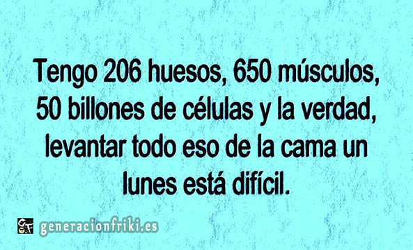508) 30-06-14 malditos-lunes-Humor