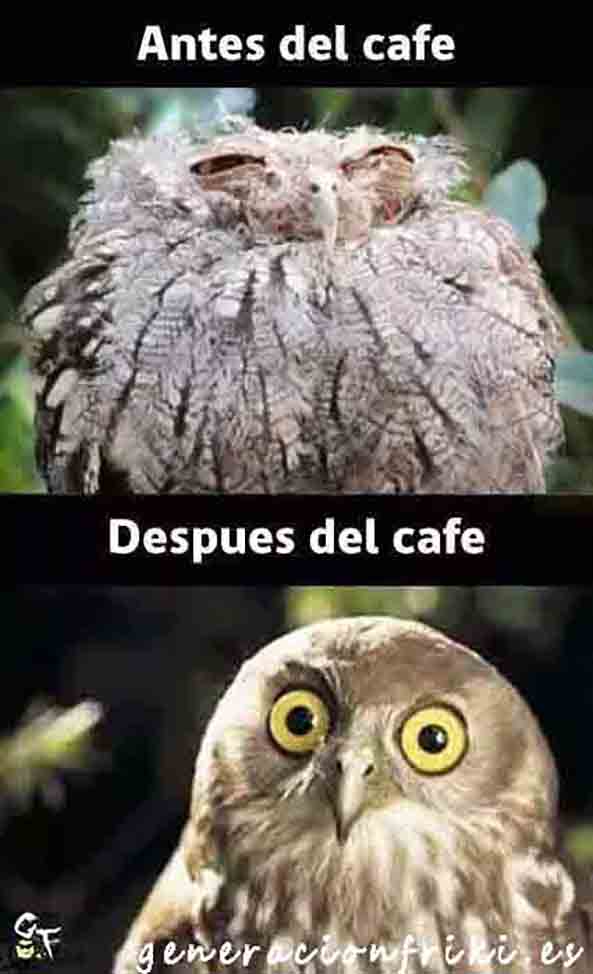 514) 07-07-14 antes-despues-cafe-Humor