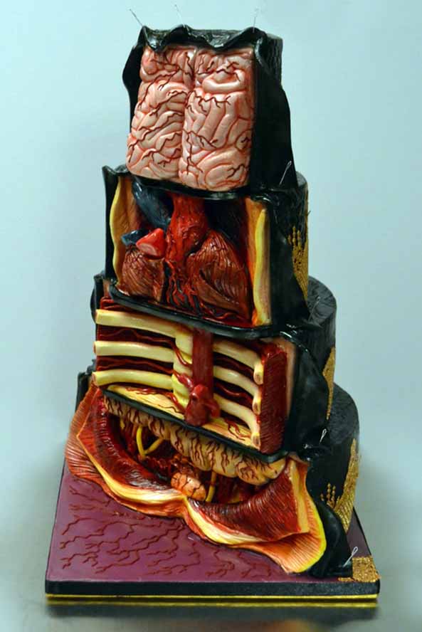 24-Tarta-friki-cuerpo-humano-diseccionado-24